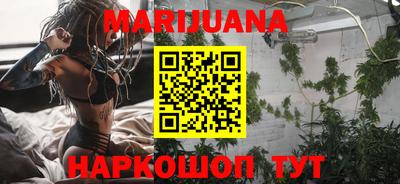Альфа ПВП Малгобек