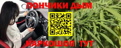 Альфа ПВП Малгобек