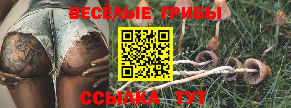 Галлюциногенные грибы прущие грибы  Вход с VPN  Галлюциногенные грибы MAGIC MUSHROOMS  Владивосток 